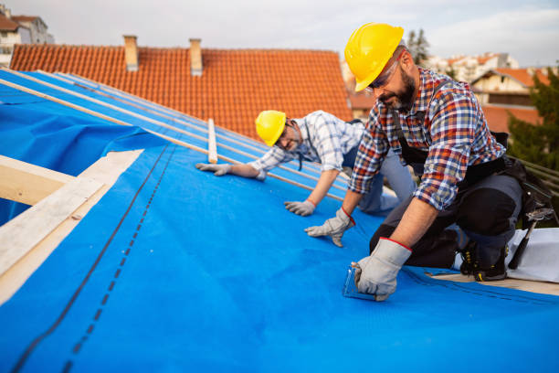 Professional Roofing Contractor in Olive Hill, KY